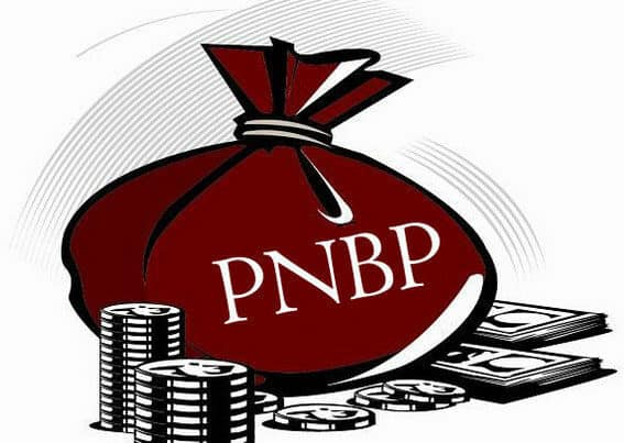 Realisasi PNBP BNNK Balangan tahun 2022